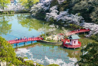 🌳 지바 공원 (치바코엔)